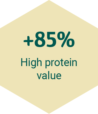 UnicaGemma - protein value